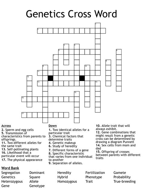 This crossword clue was last seen on 01 April 2023. . Genetic copy crossword clue